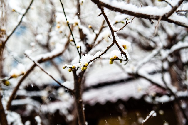 与执行细节